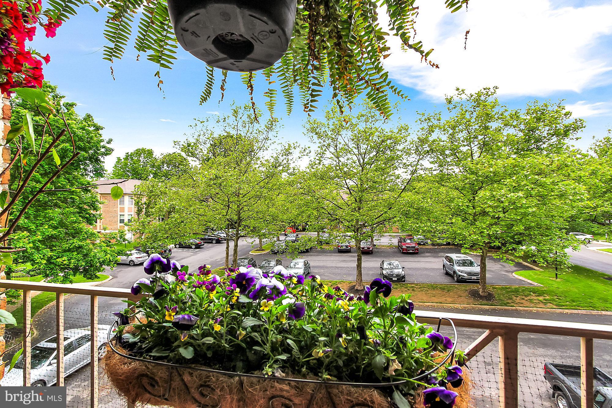 THE POINTE - Residential