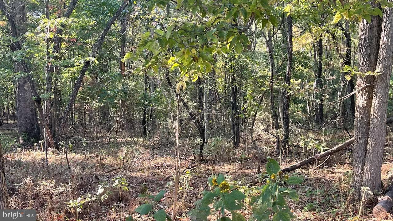 SHENANDOAH RIVER BEND - Land