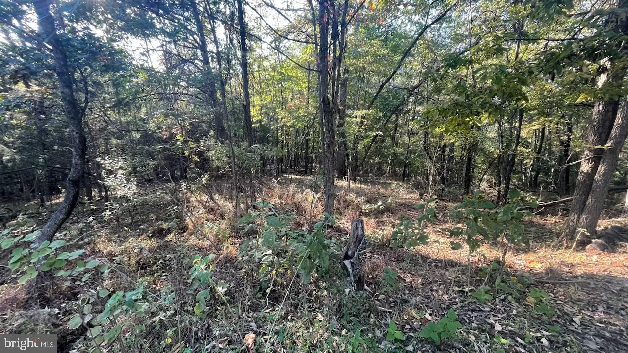 SHENANDOAH RIVER BEND - Land