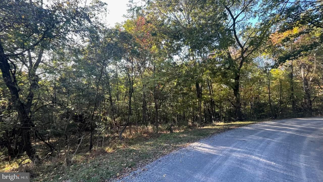 SHENANDOAH RIVER BEND - Land