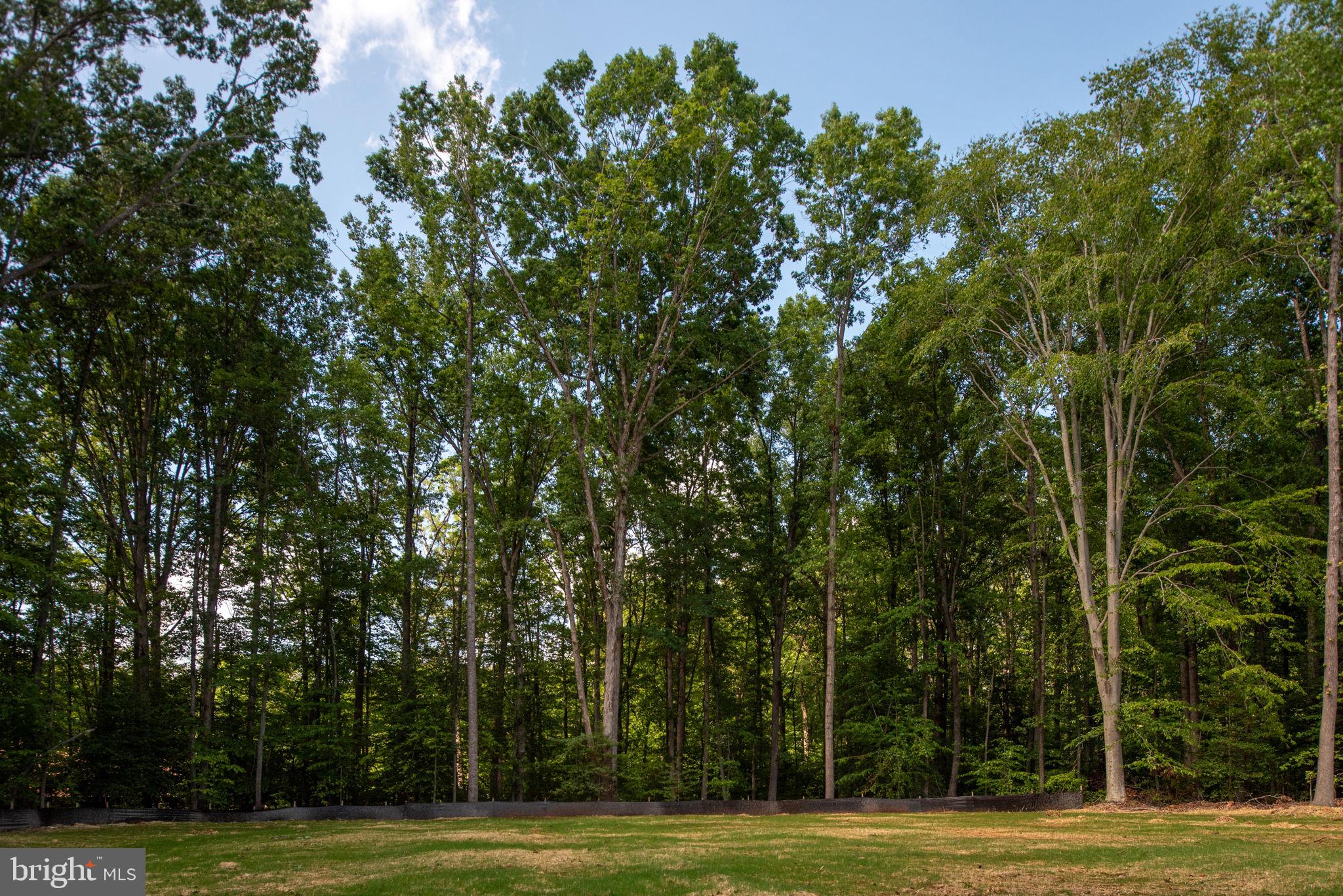 ROSNI ESTATES - Residential