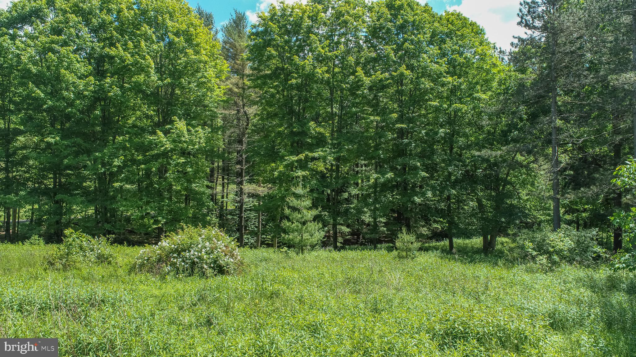 FANTASY VALLEY - Land