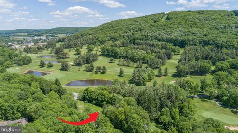 Vacant Land For Sale - 21 Fantasy Lane<br/> MC HENRY, MD 21541