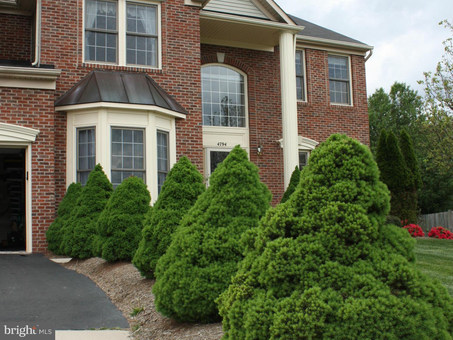 WALNEY ESTATES - Residential Lease