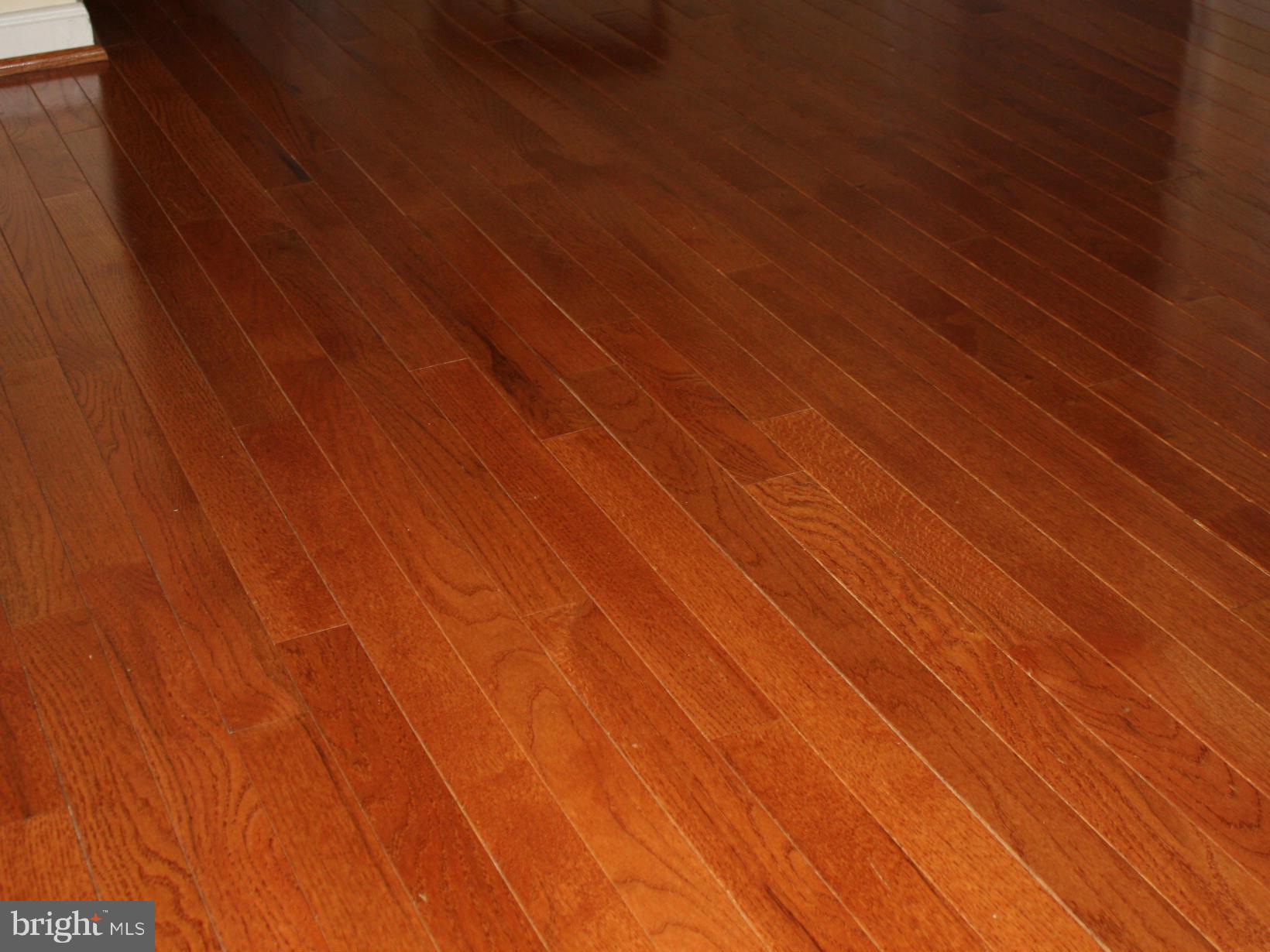 WALNEY ESTATES - Residential Lease