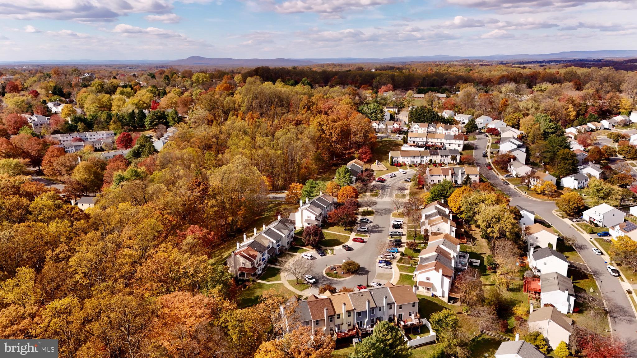 10615 BUDSMAN TERRACE