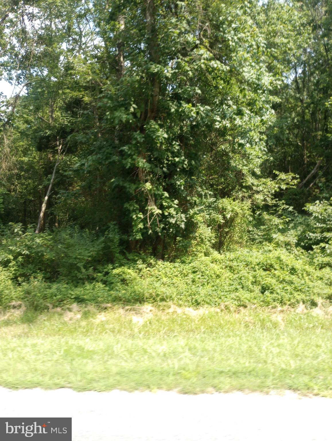 CHESAPEAKE LANDING - Land