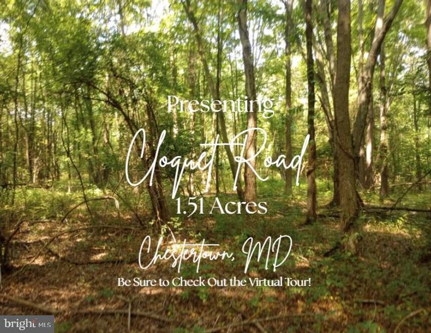 Largest privately held parcel in Chesapeake Landing. 8 Lots each more than 10,000 sq ft. for a total 1.51 acres. Tax map 27, lots 254-257 & 297-300 (2 contiguous lots). The site is level & wooded. Raw land near Worton's Marina. Community has a boat ramp and offers easy access to the Chesapeake Bay. Chesapeake Landing has a voluntary HOA giving you access to the boat ramp, marina and a slip for an extra fee. Owner planned to build a home on the land then decided to stay in PA. Beautiful property.