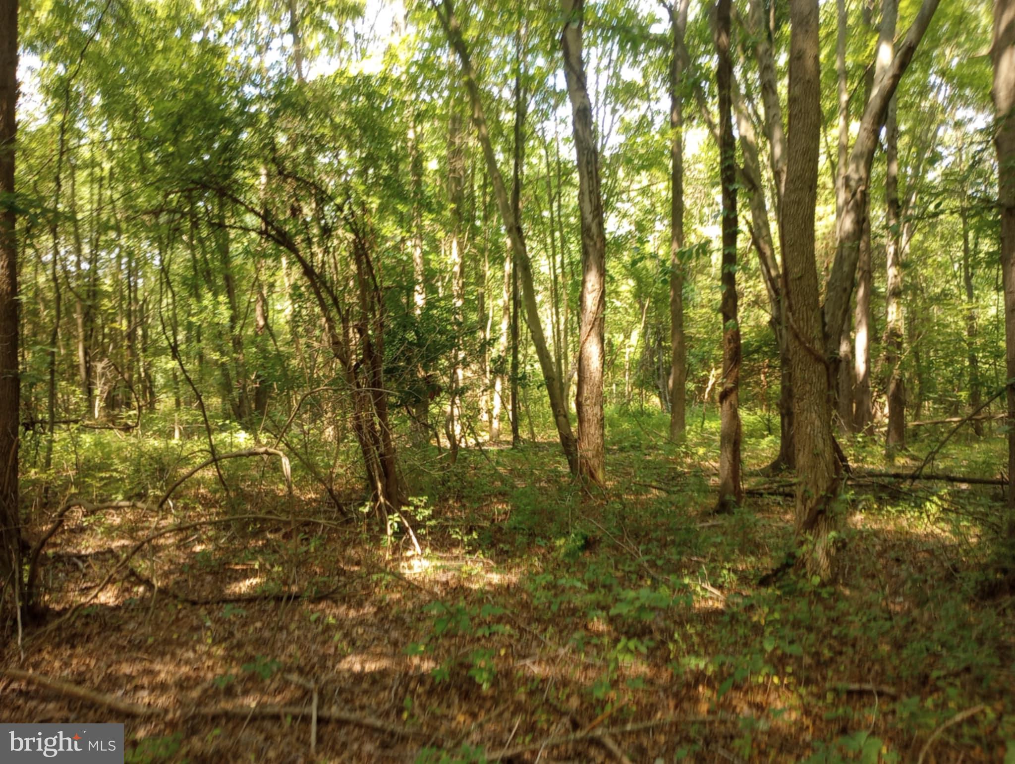 CHESAPEAKE LANDING - Land