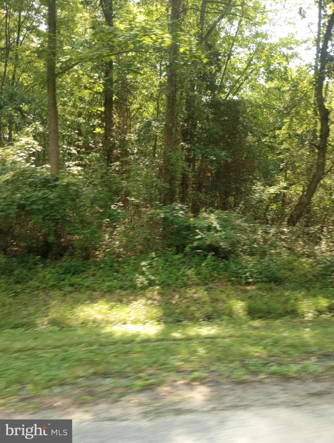 CHESAPEAKE LANDING - Land