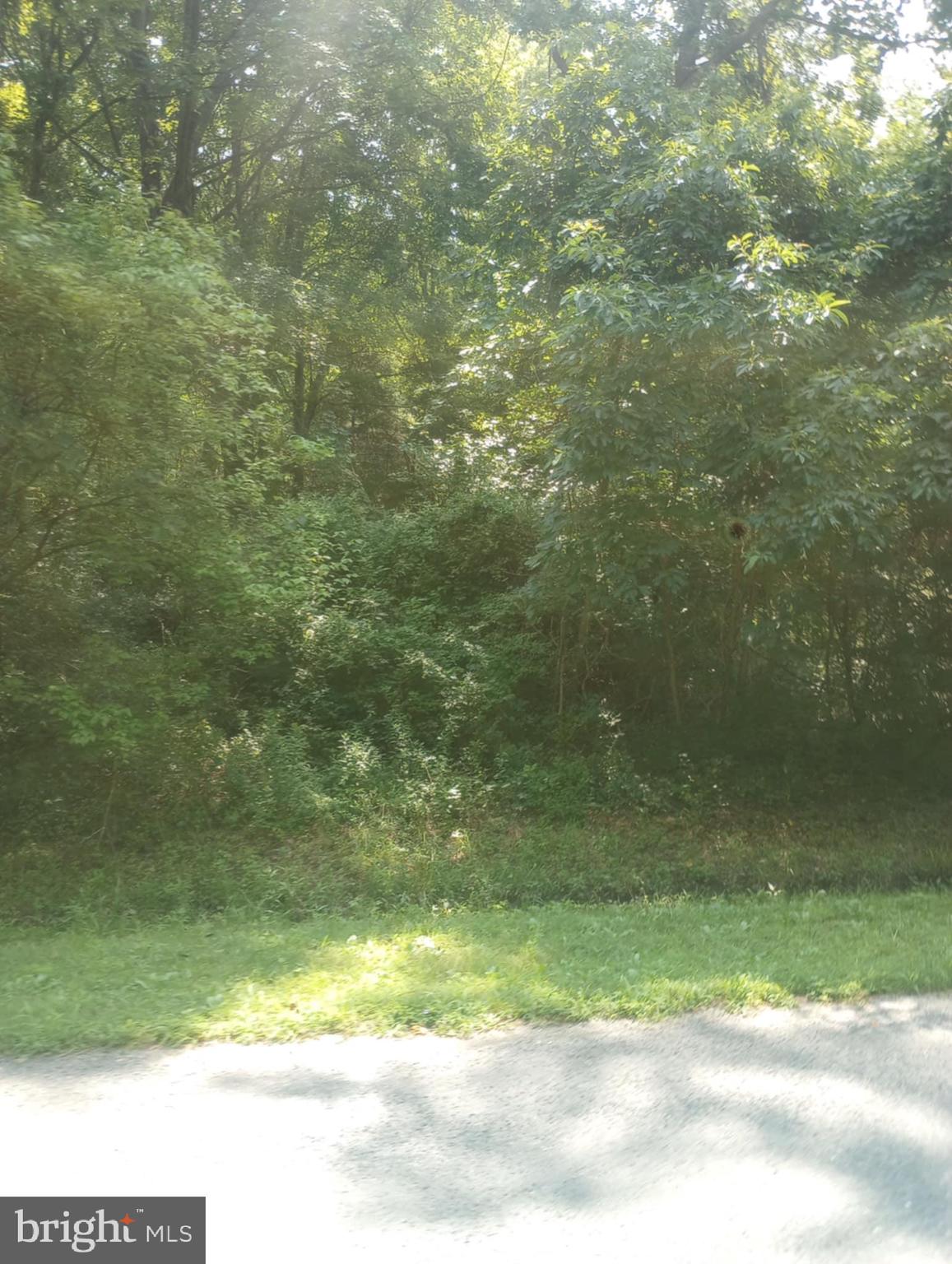 CHESAPEAKE LANDING - Land