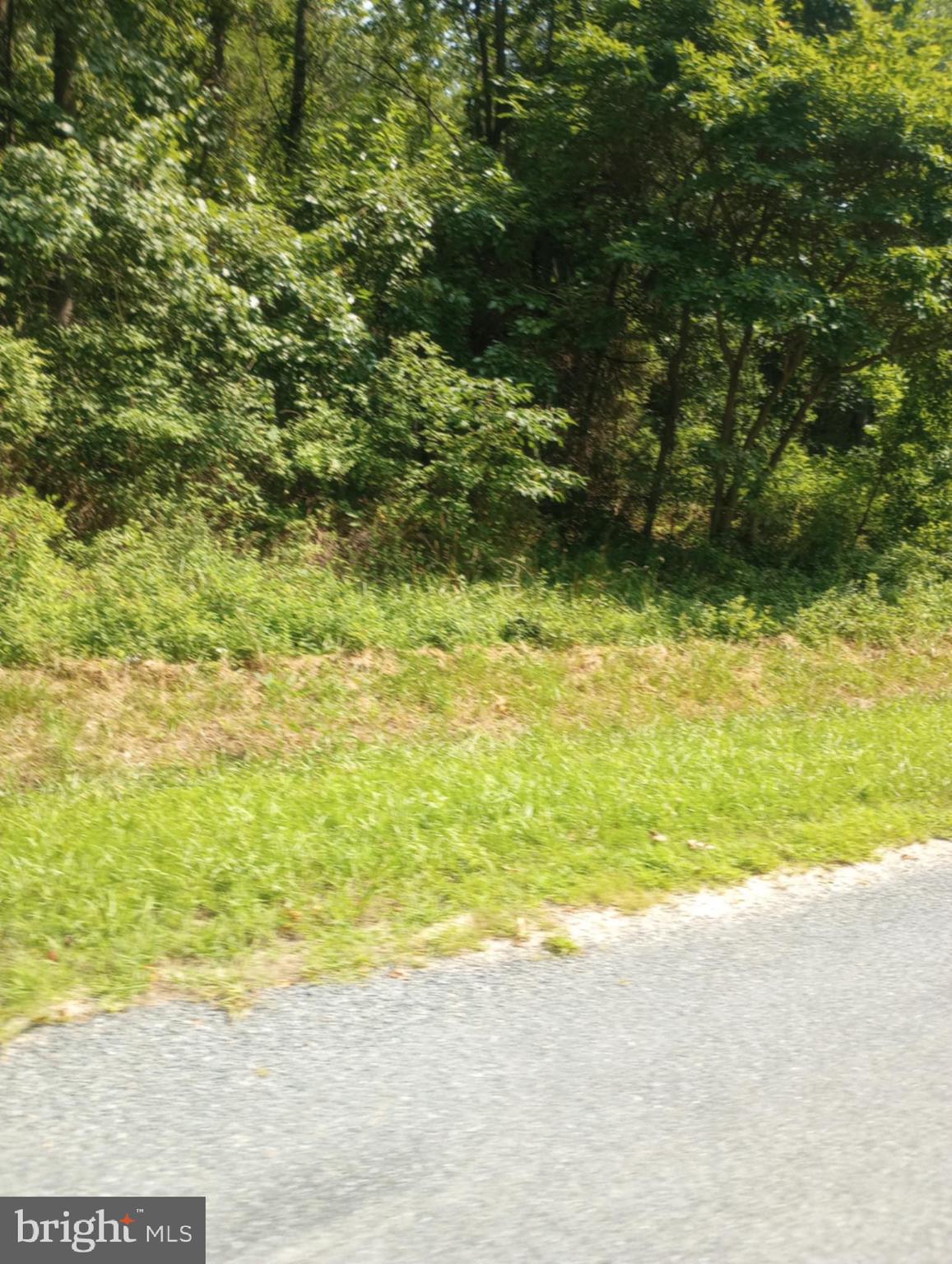 CHESAPEAKE LANDING - Land