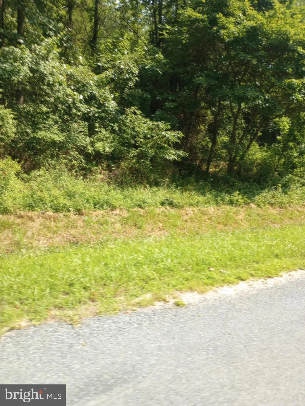 Chestertown, Maryland 21620, United States, ,Land,Active,252660