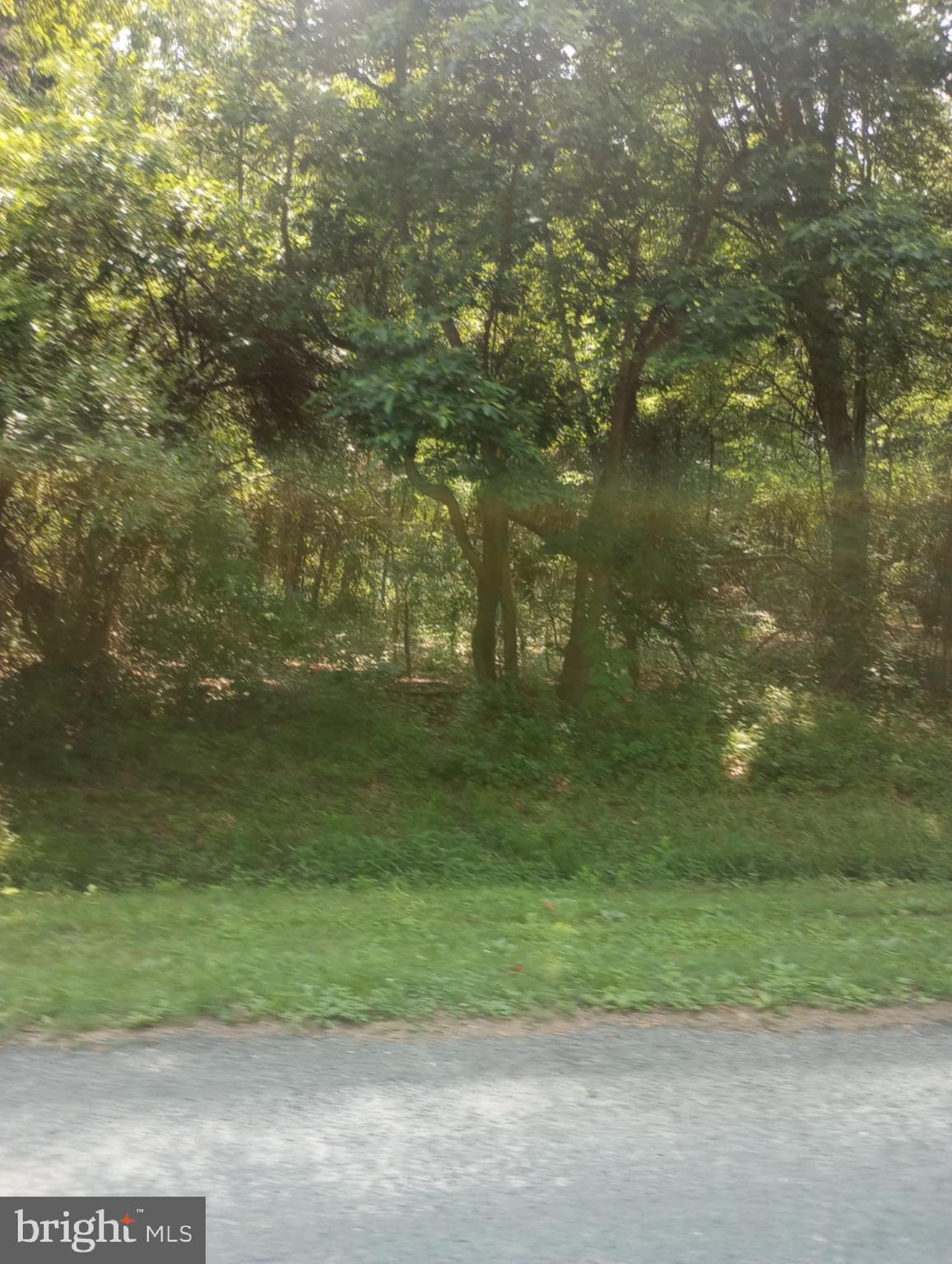 CHESAPEAKE LANDING - Land