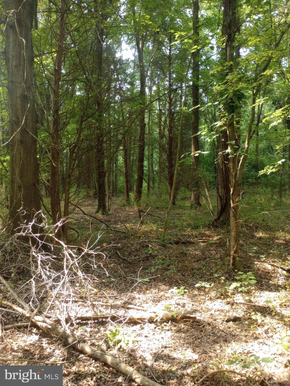 Chestertown, Maryland 21620, United States, ,Land,Active,252660