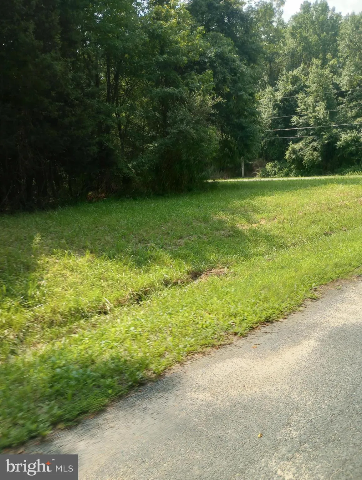 Chestertown, Maryland 21620, United States, ,Land,Active,252660