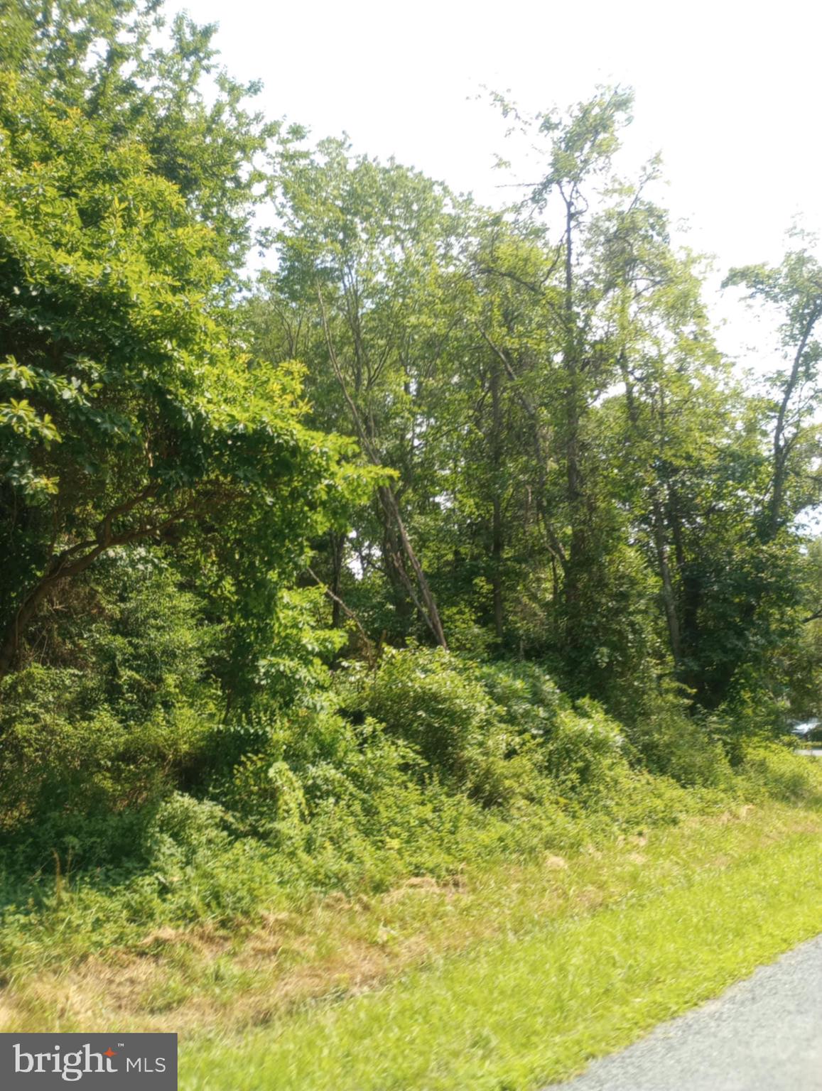 CHESAPEAKE LANDING - Land