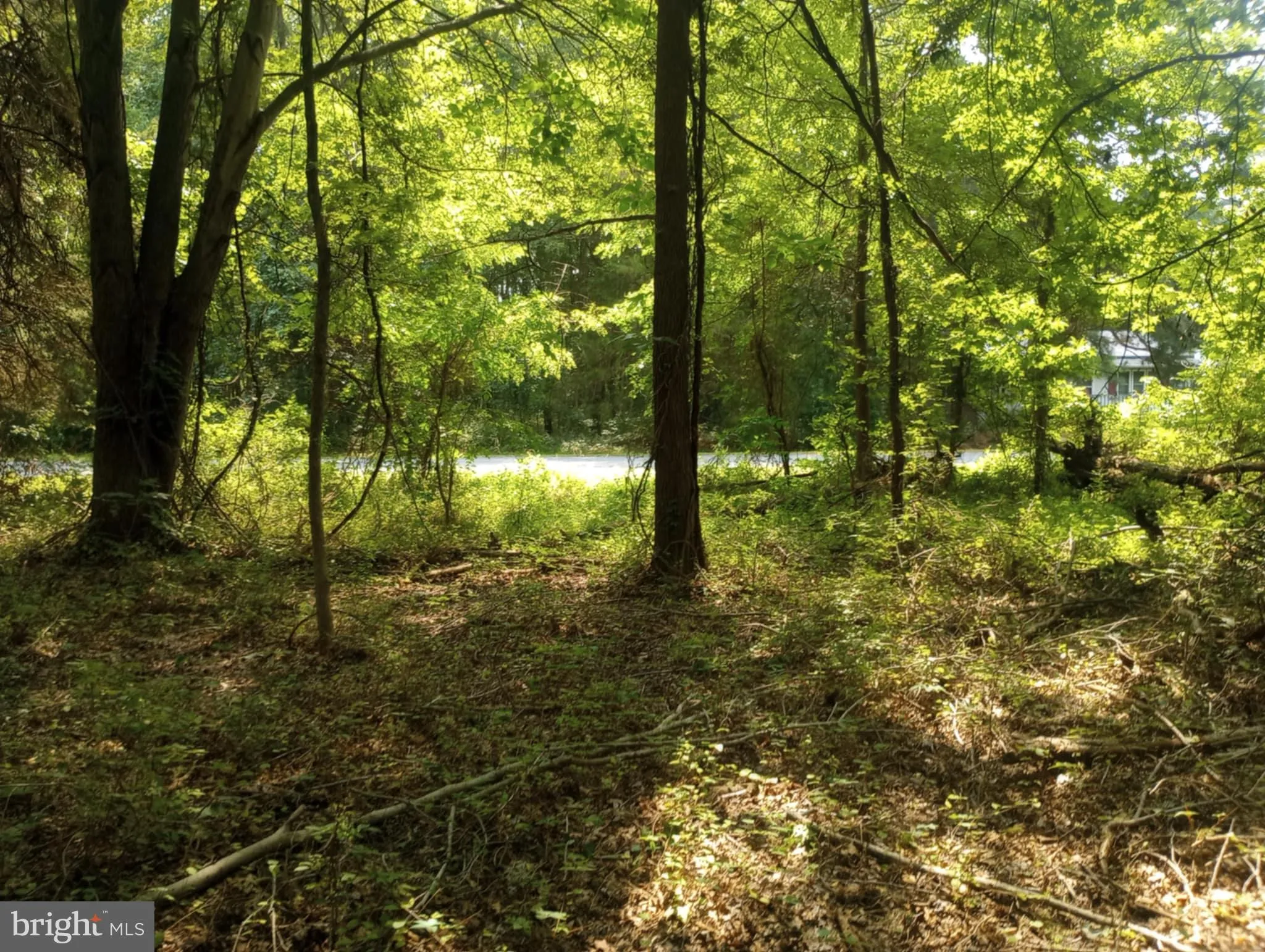 Chestertown, Maryland 21620, United States, ,Land,Active,252660