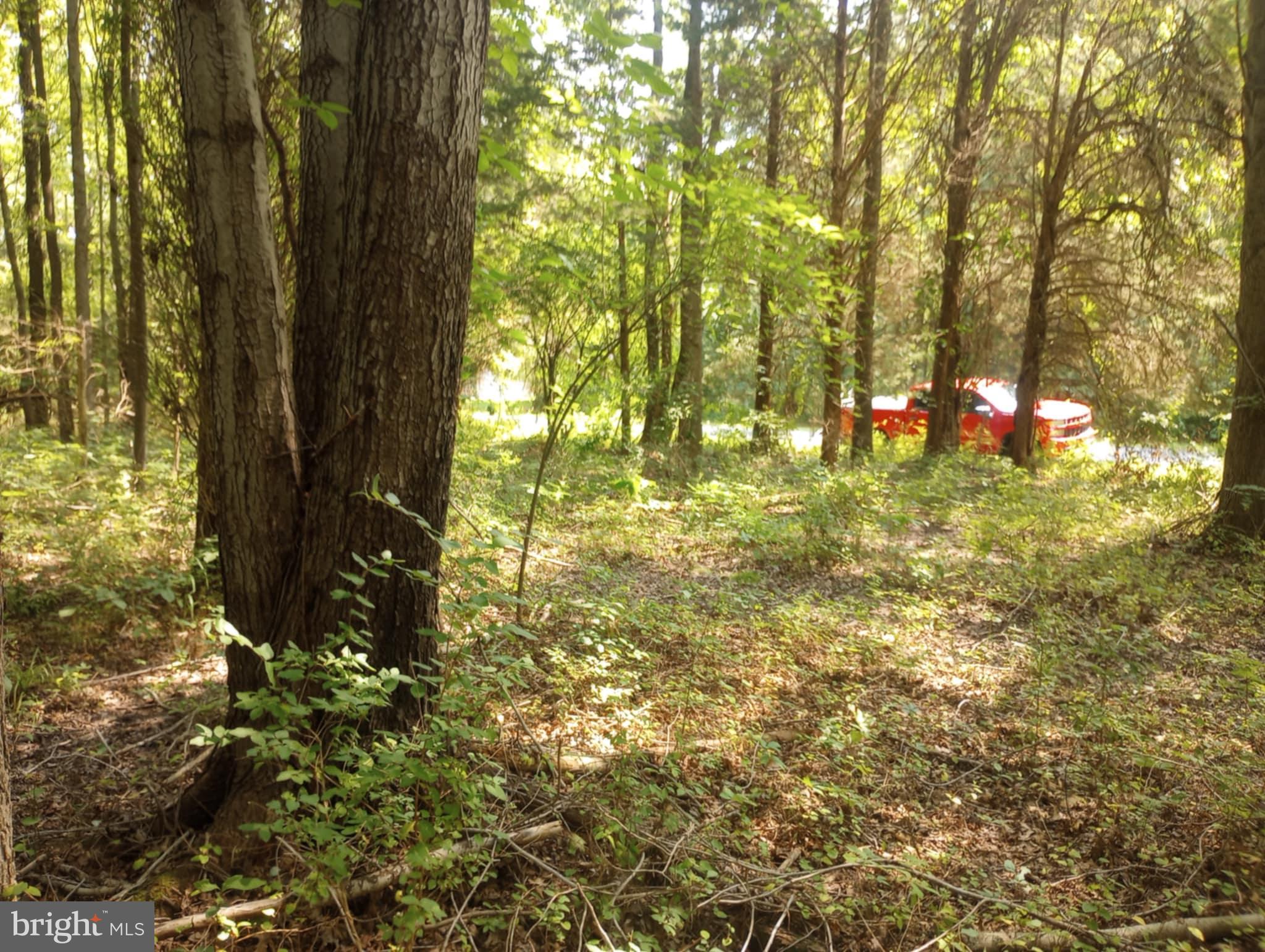 CHESAPEAKE LANDING - Land