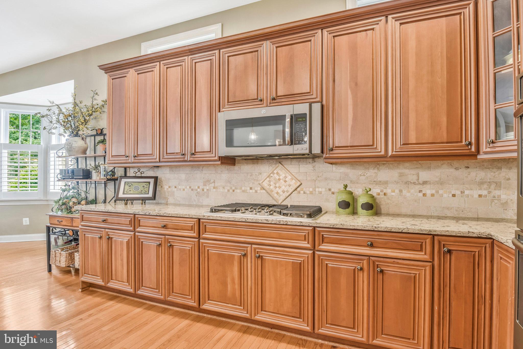 REGENCY AT DOMINION VALLEY - Residential