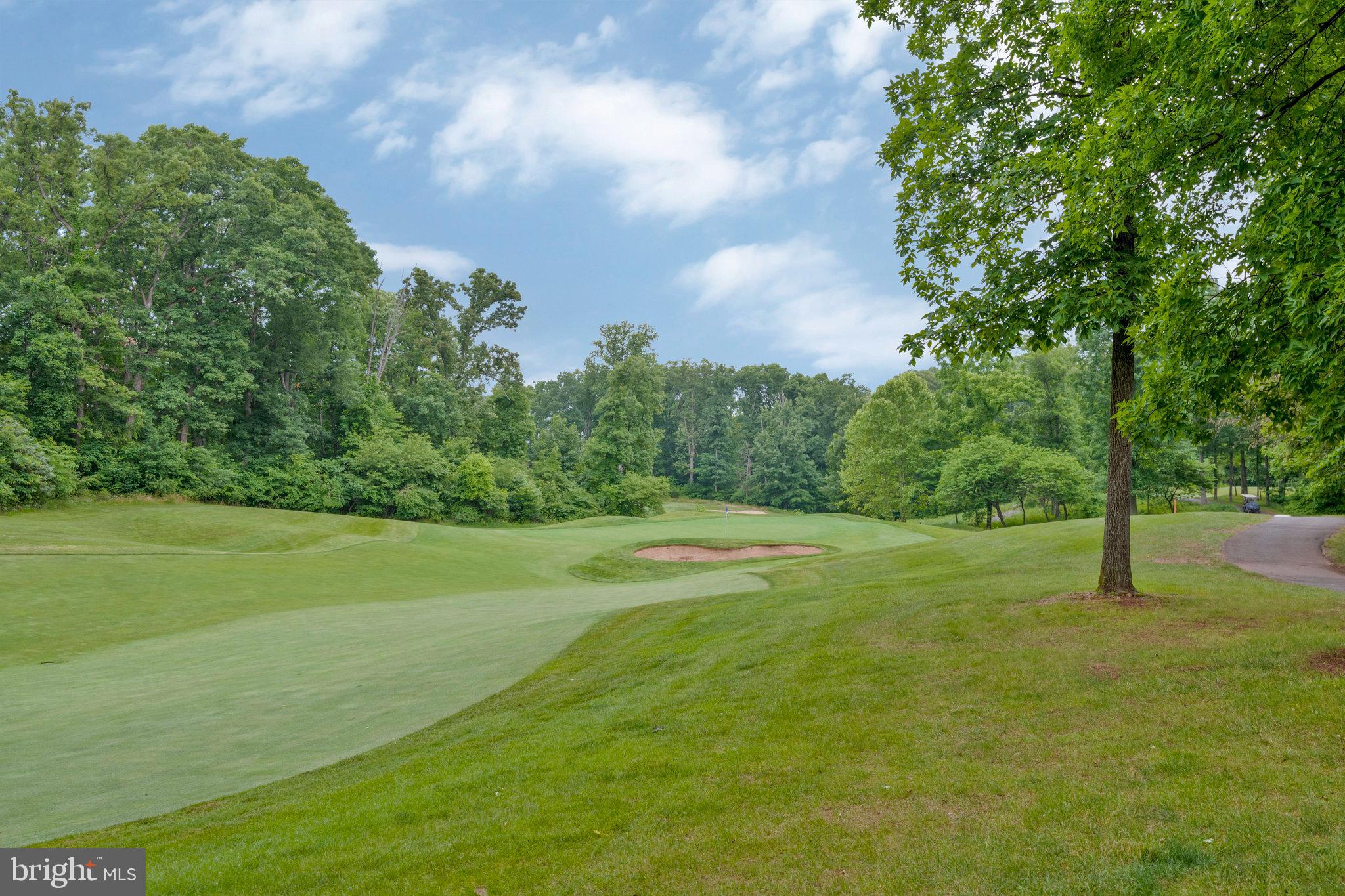 REGENCY AT DOMINION VALLEY - Residential