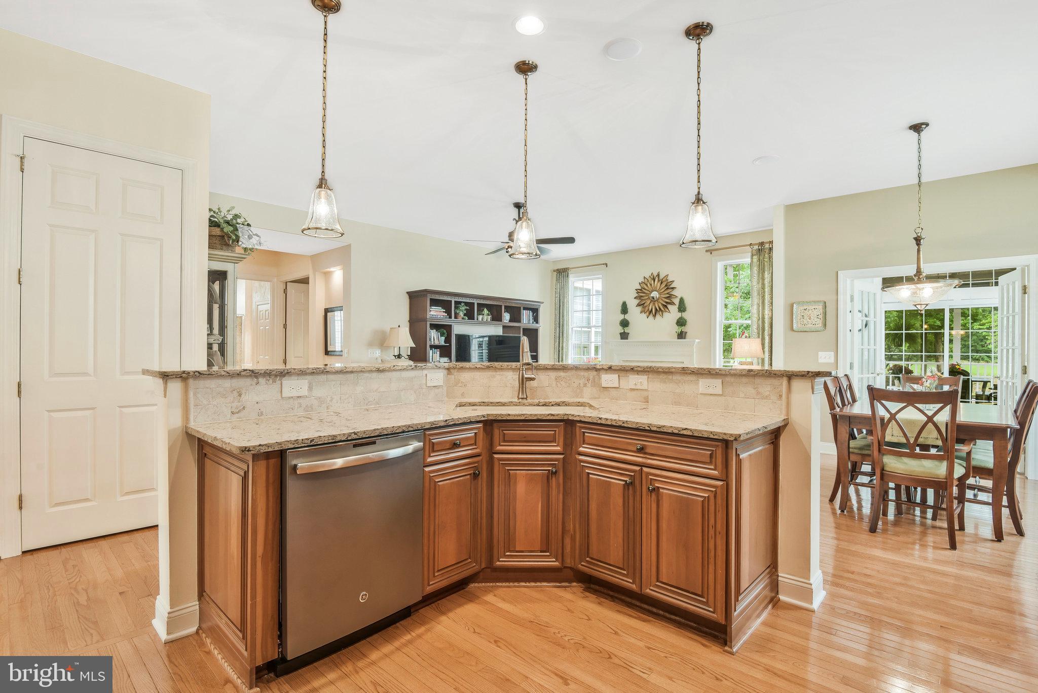 REGENCY AT DOMINION VALLEY - Residential