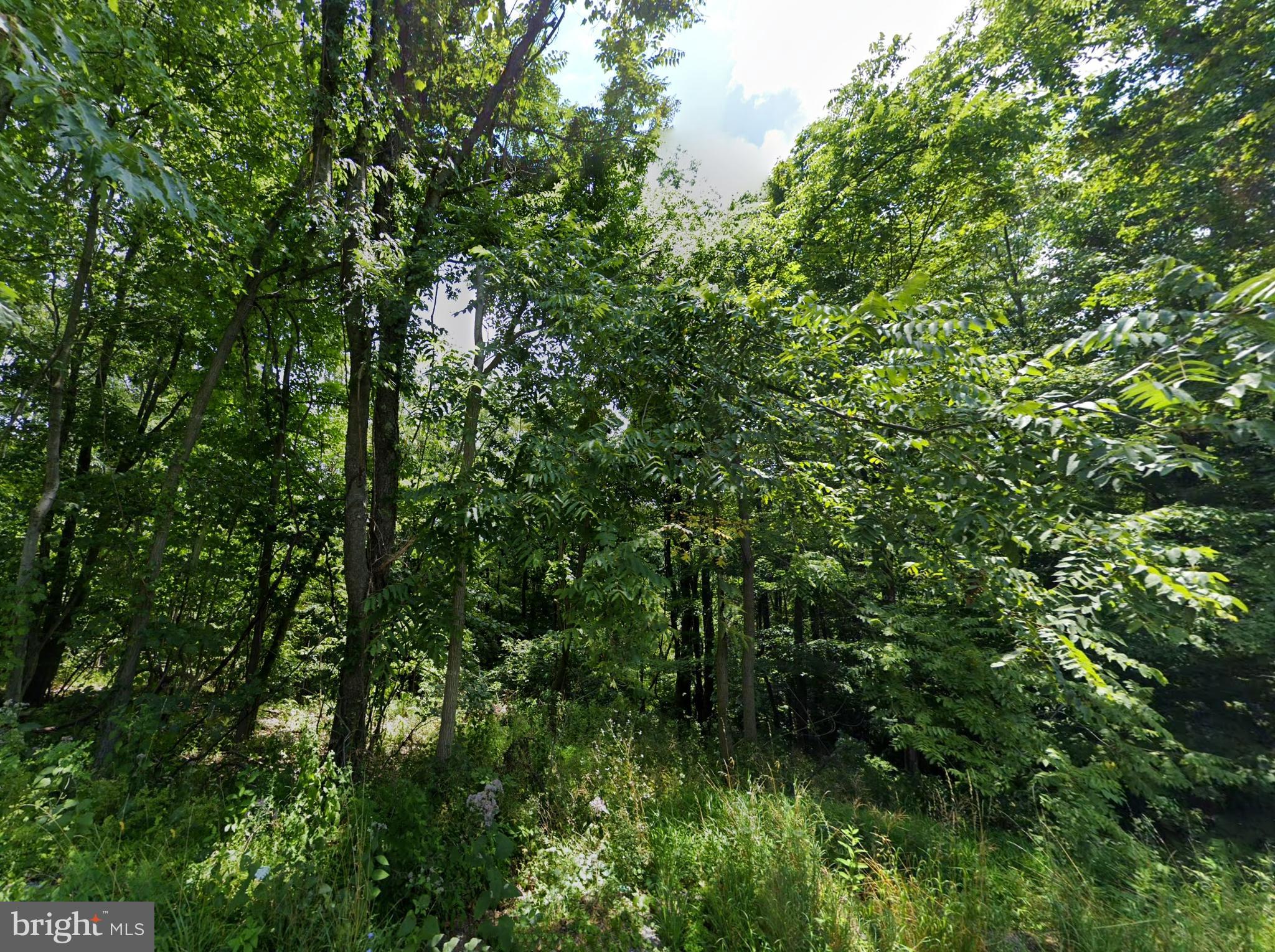 Dreaming of wide-open space with zero limits? This 19.10-acre property is your blank canvas. No Zoning.
No Restrictions. All Freedom. Whether you want to build a site-built home, barndominium, tiny home, or
manufactured house—you’re free to do it all. Not ready to build? Bring your RV or camper and enjoy the
land right away. This property offers privacy, space, and endless potential. Surrounded by Buchanan State
Forest, Green Ridge State Forest, and Rocky Gap State Park for hiking, waterfalls, fishing, and boating.
10-15 mins. into Maryland or West Virginia. The property is part of the Preferential Assessment Law known as “Clean & Green”. Don’t miss your chance to own true freedom in the PA countryside! Power is available at the street for hookup – well and septic needs installed. TAX ID 11-10-037O.-000