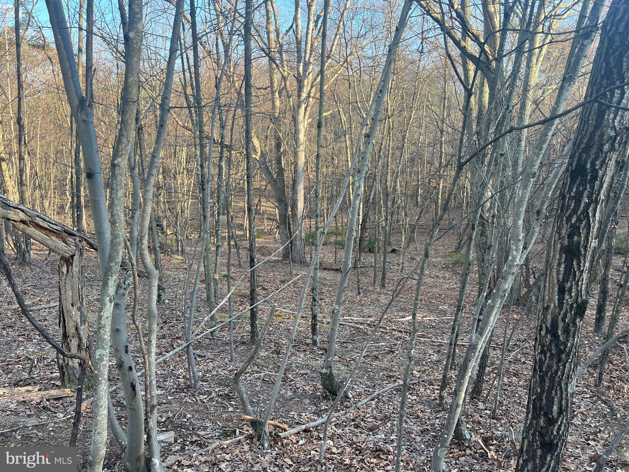 SLEEPY CREEK FARMS - Land