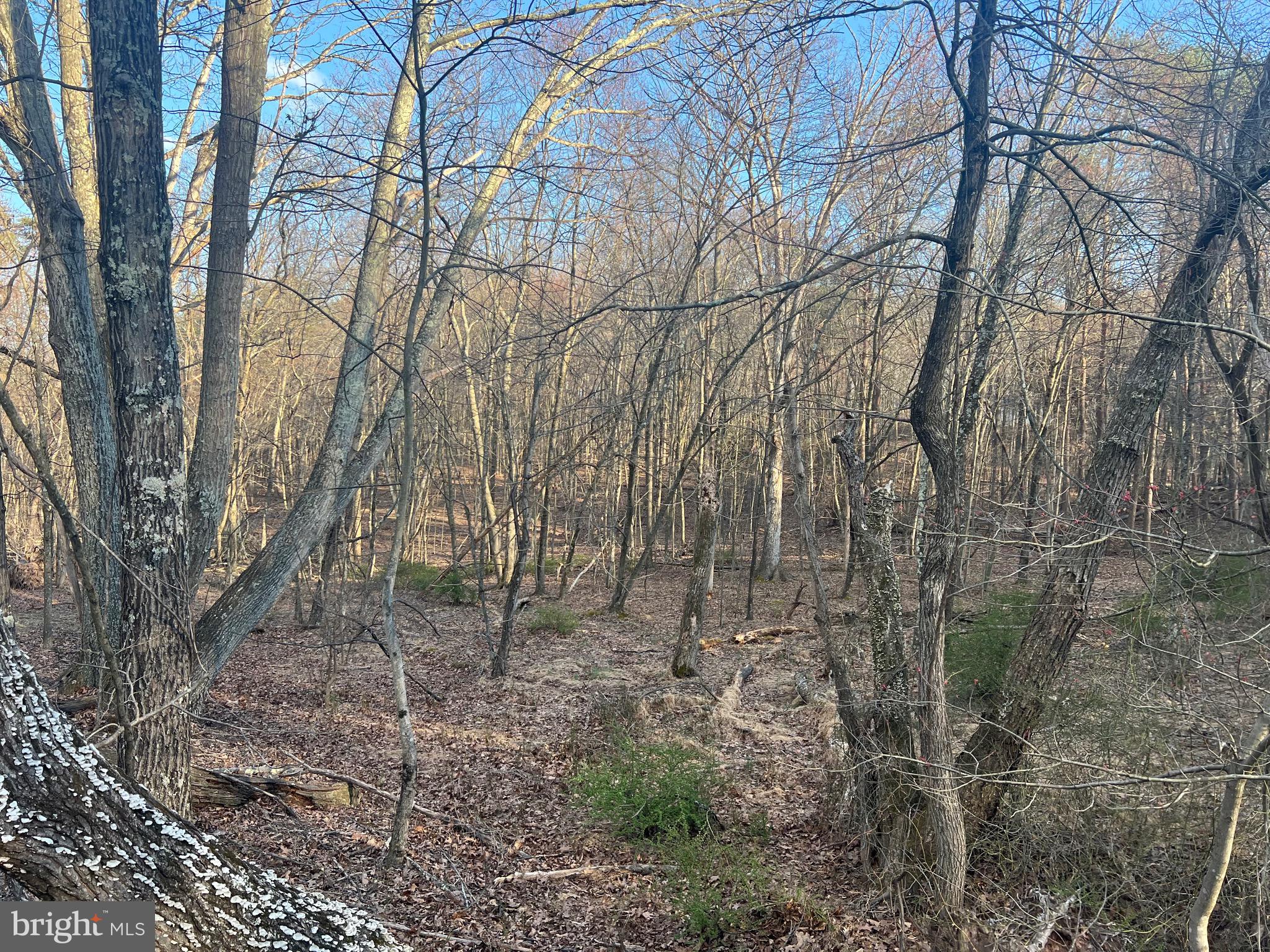 SLEEPY CREEK FARMS - Land