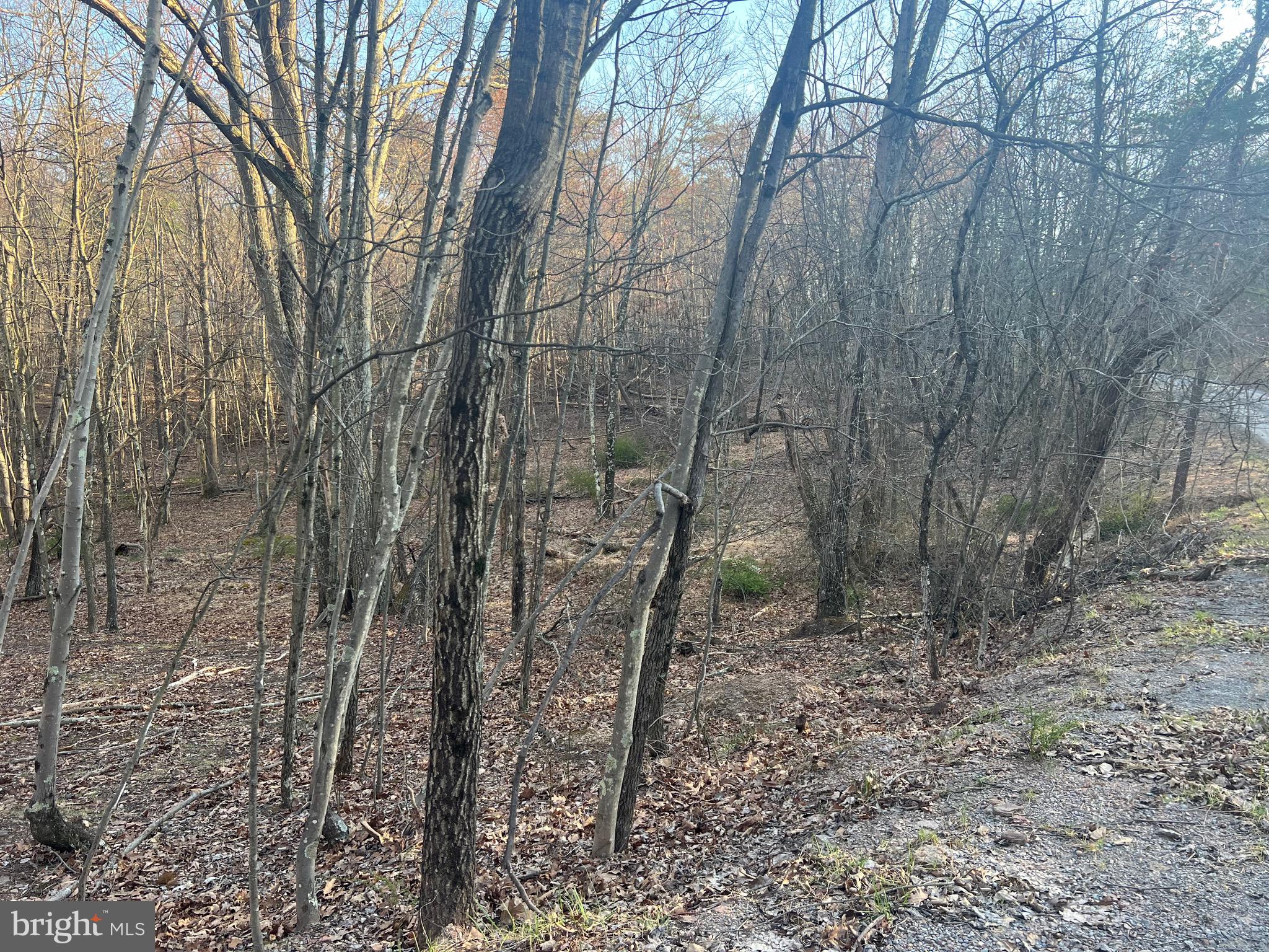 SLEEPY CREEK FARMS - Land