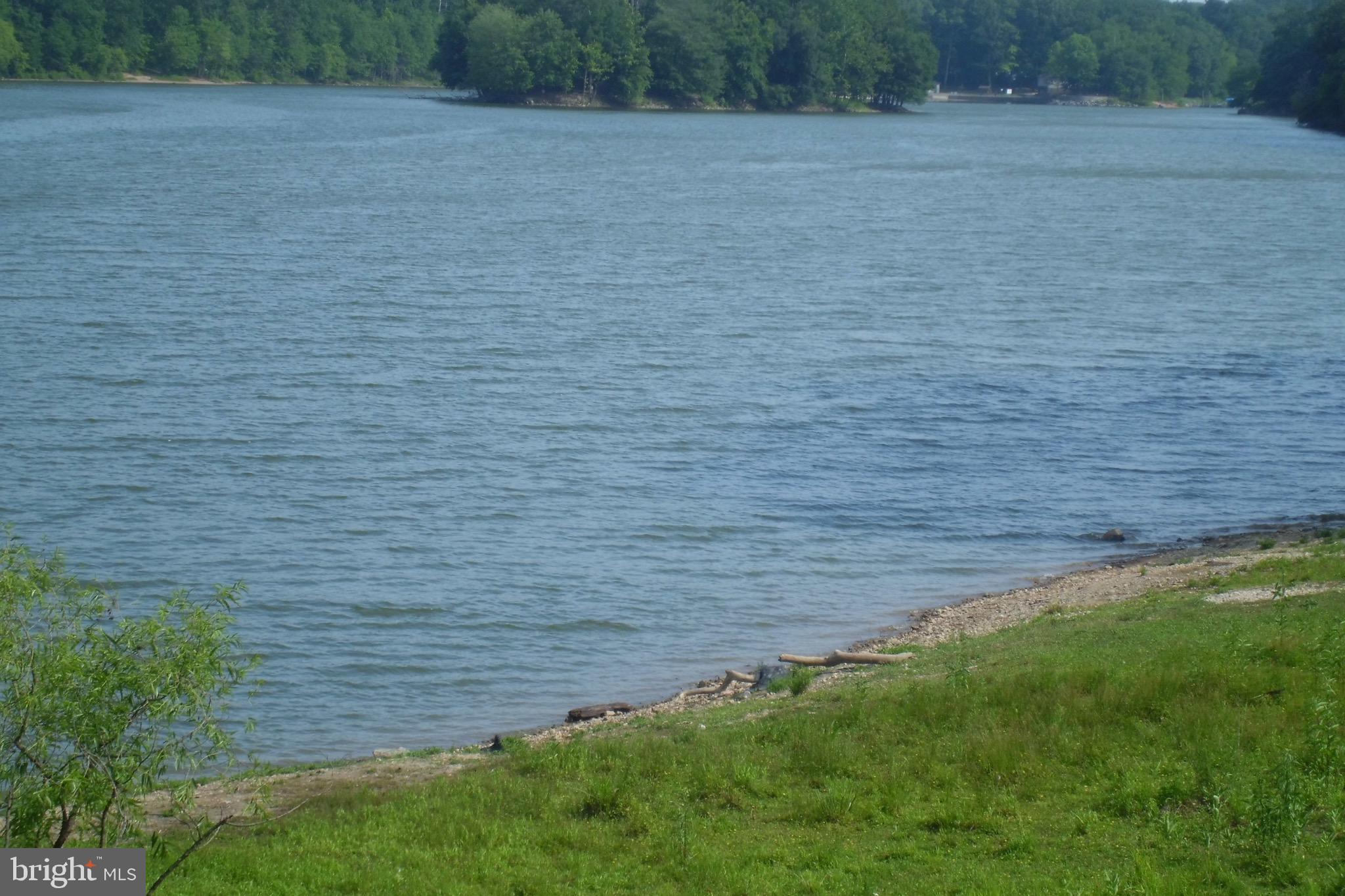 CONNECTICUT AVENUE ESTATES - Residential Lease