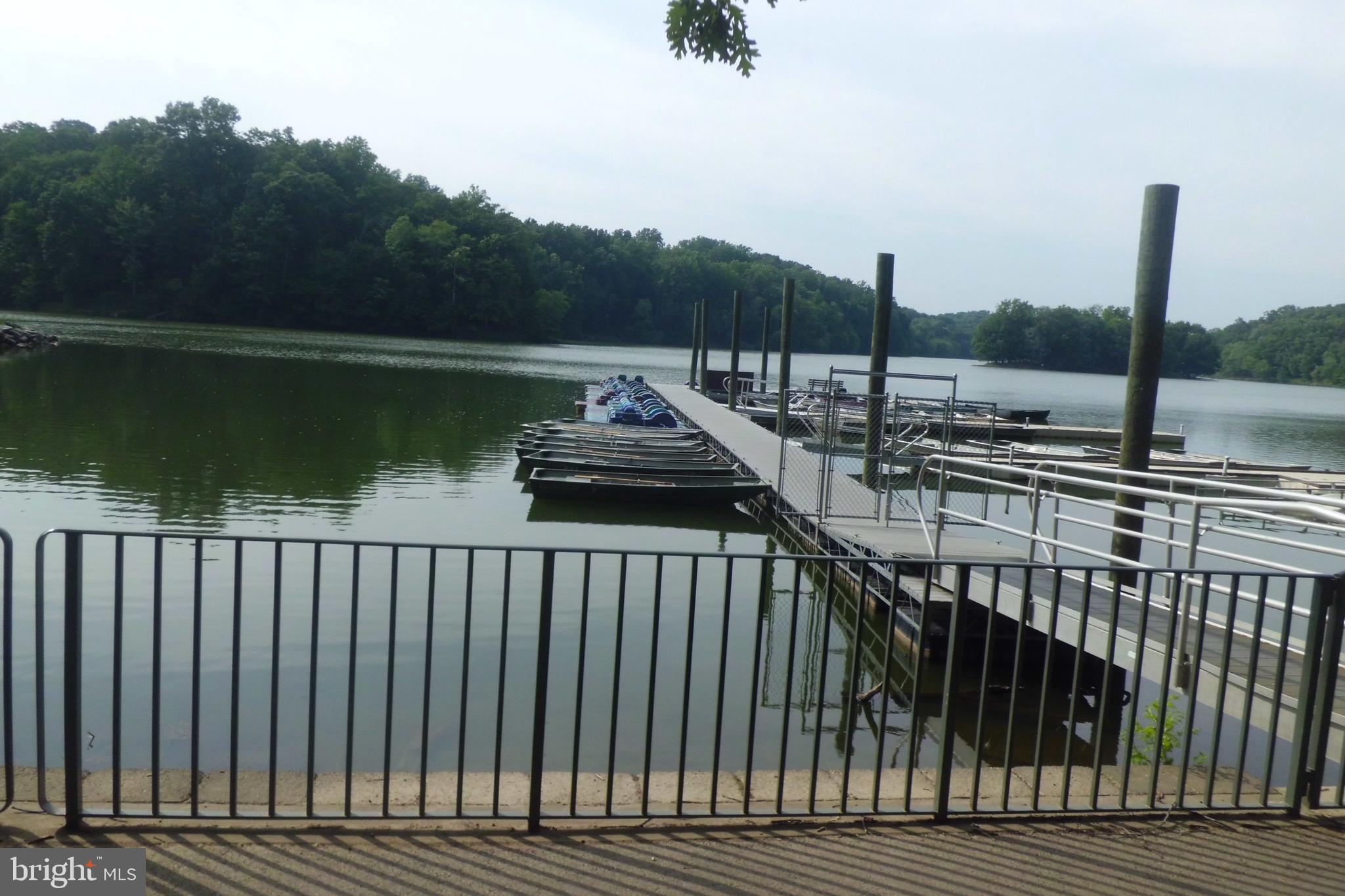 CONNECTICUT AVENUE ESTATES - Residential Lease