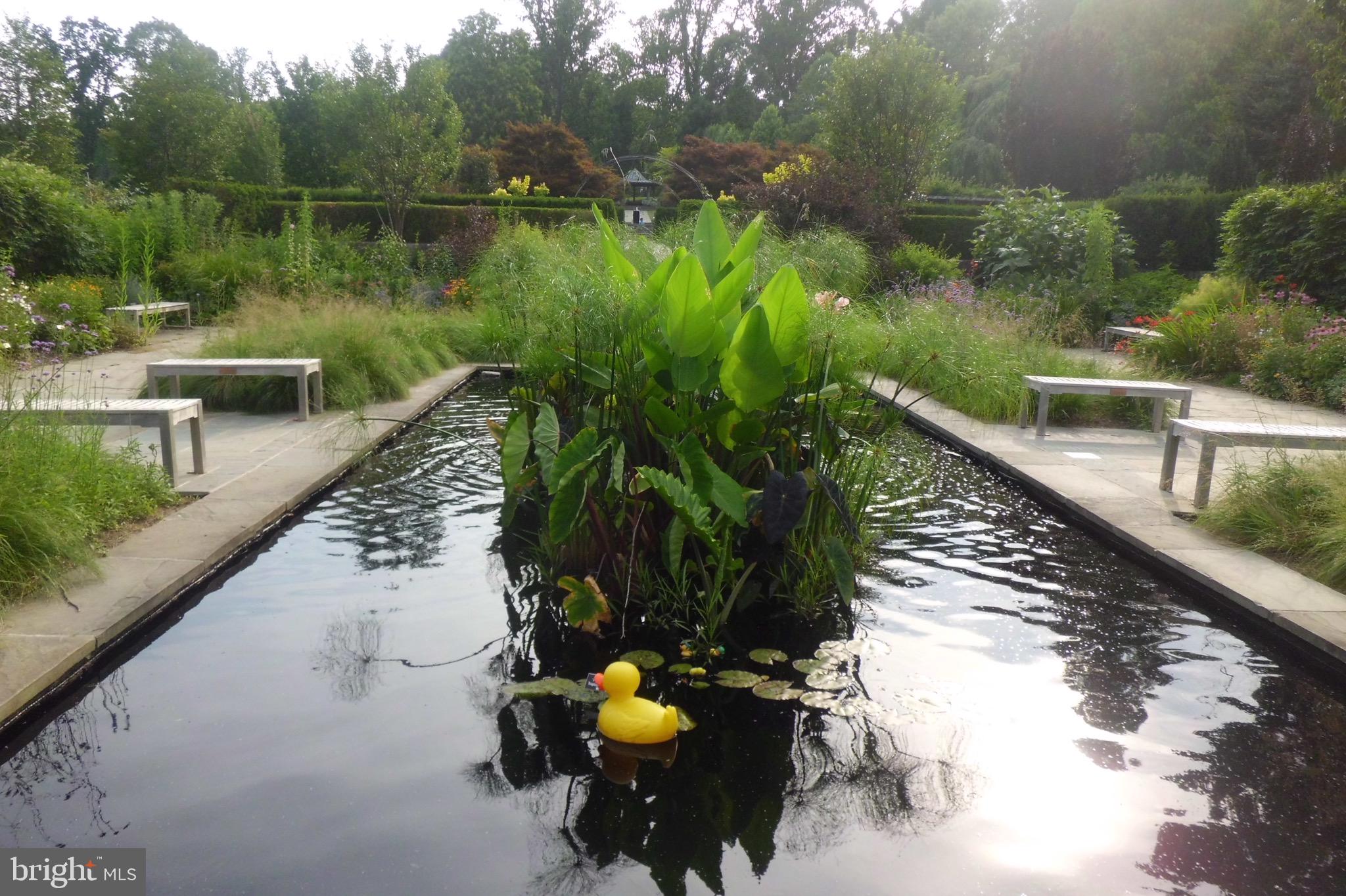 CONNECTICUT AVENUE ESTATES - Residential Lease