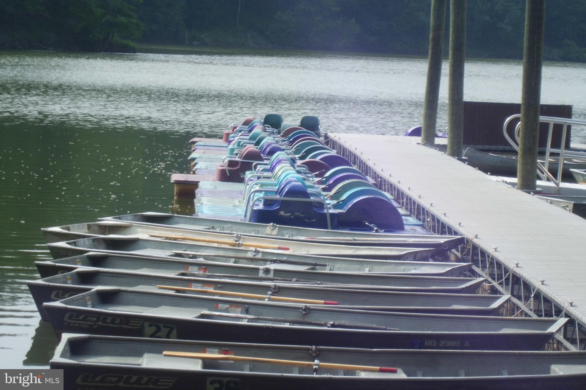 CONNECTICUT AVENUE ESTATES - Residential Lease