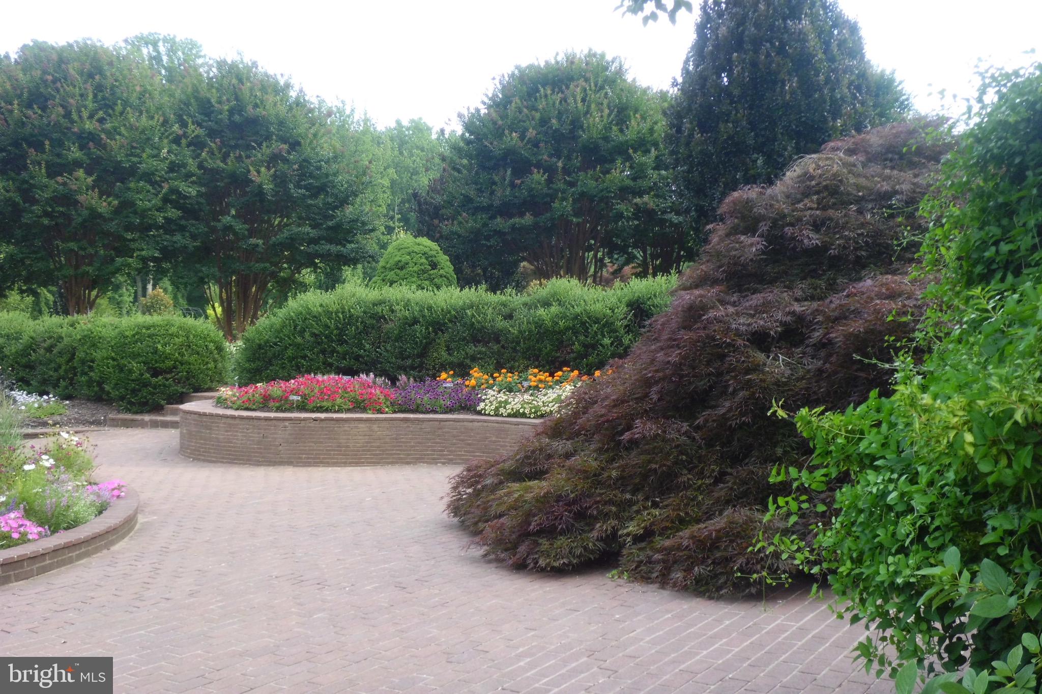 CONNECTICUT AVENUE ESTATES - Residential Lease