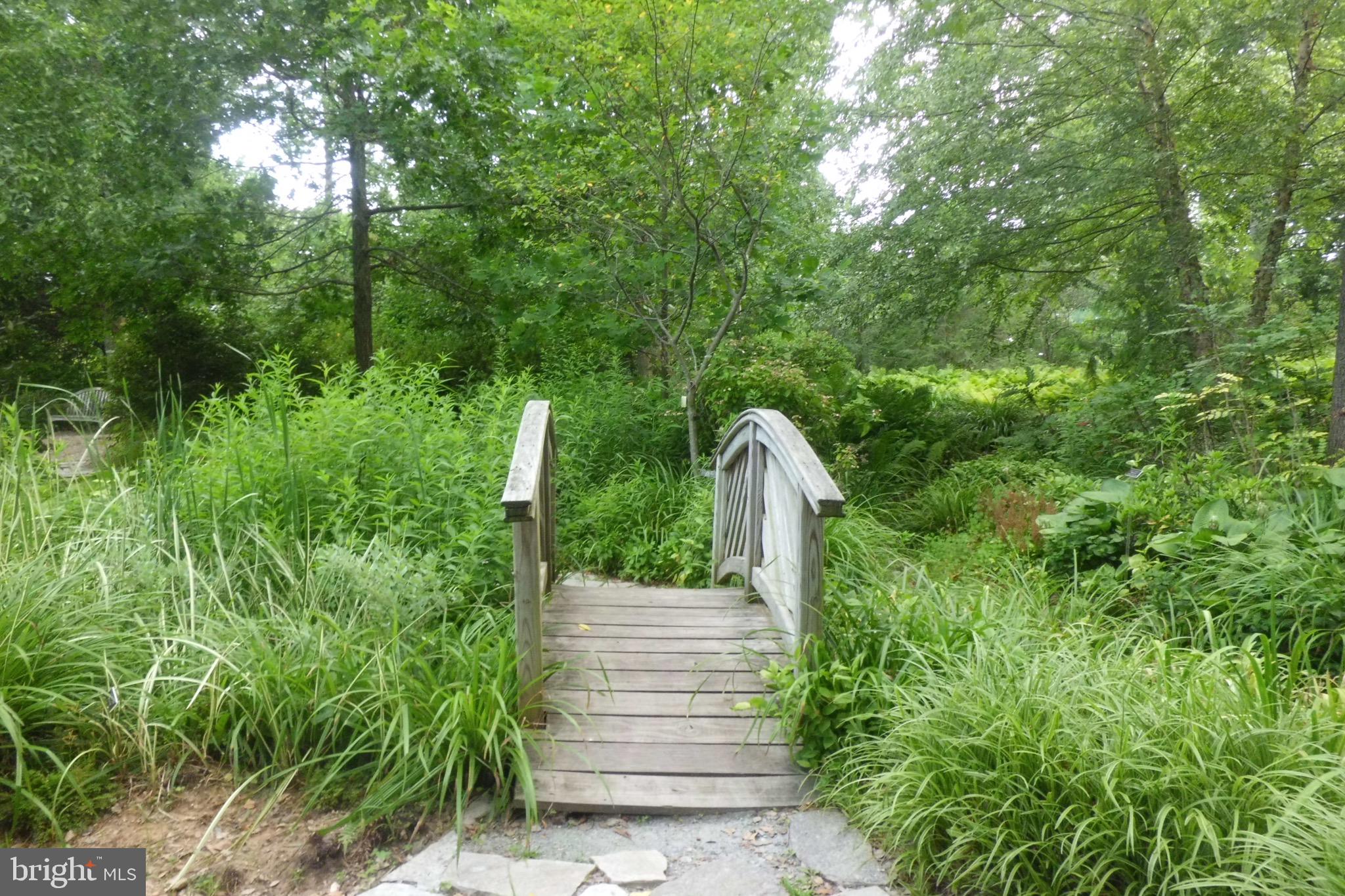 CONNECTICUT AVENUE ESTATES - Residential Lease