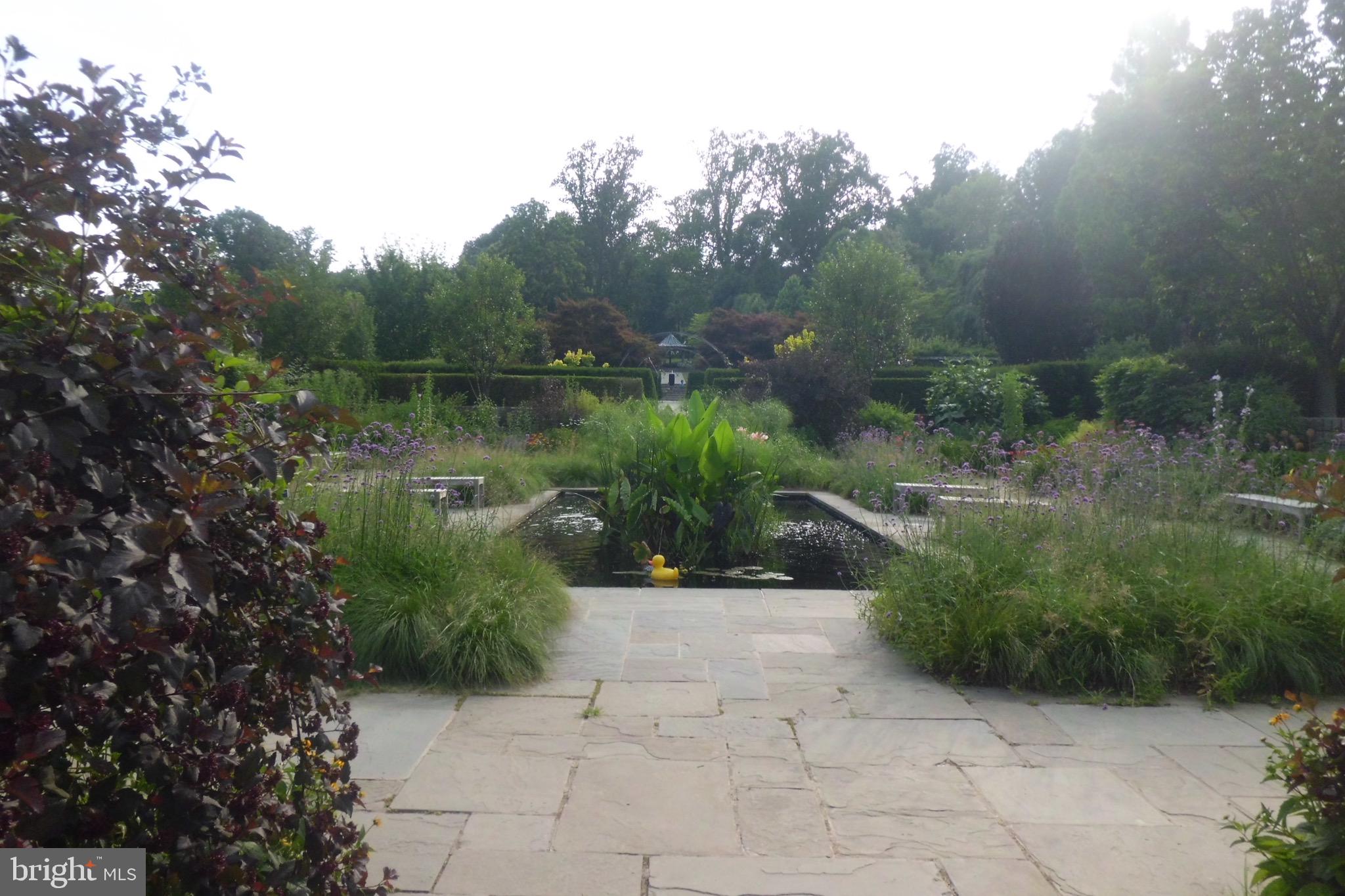 CONNECTICUT AVENUE ESTATES - Residential Lease