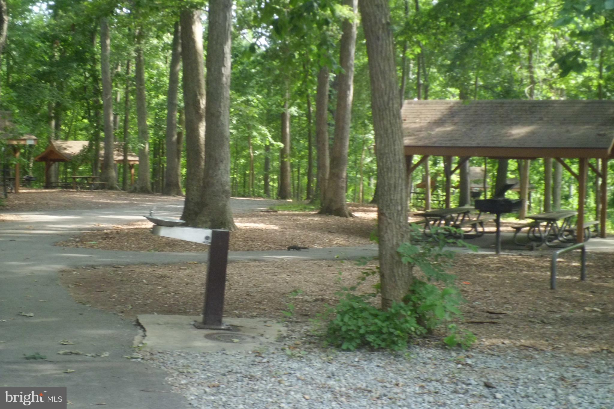 CONNECTICUT AVENUE ESTATES - Residential Lease