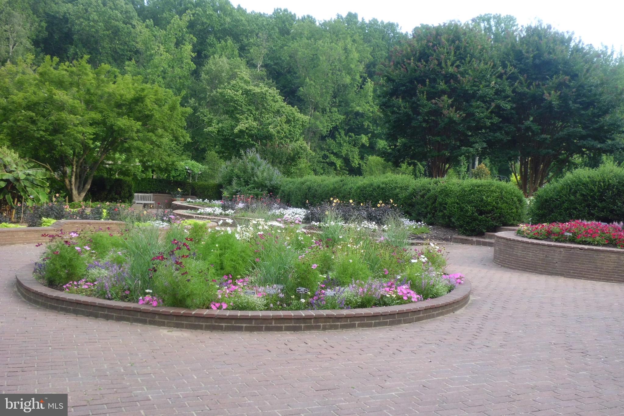 CONNECTICUT AVENUE ESTATES - Residential Lease