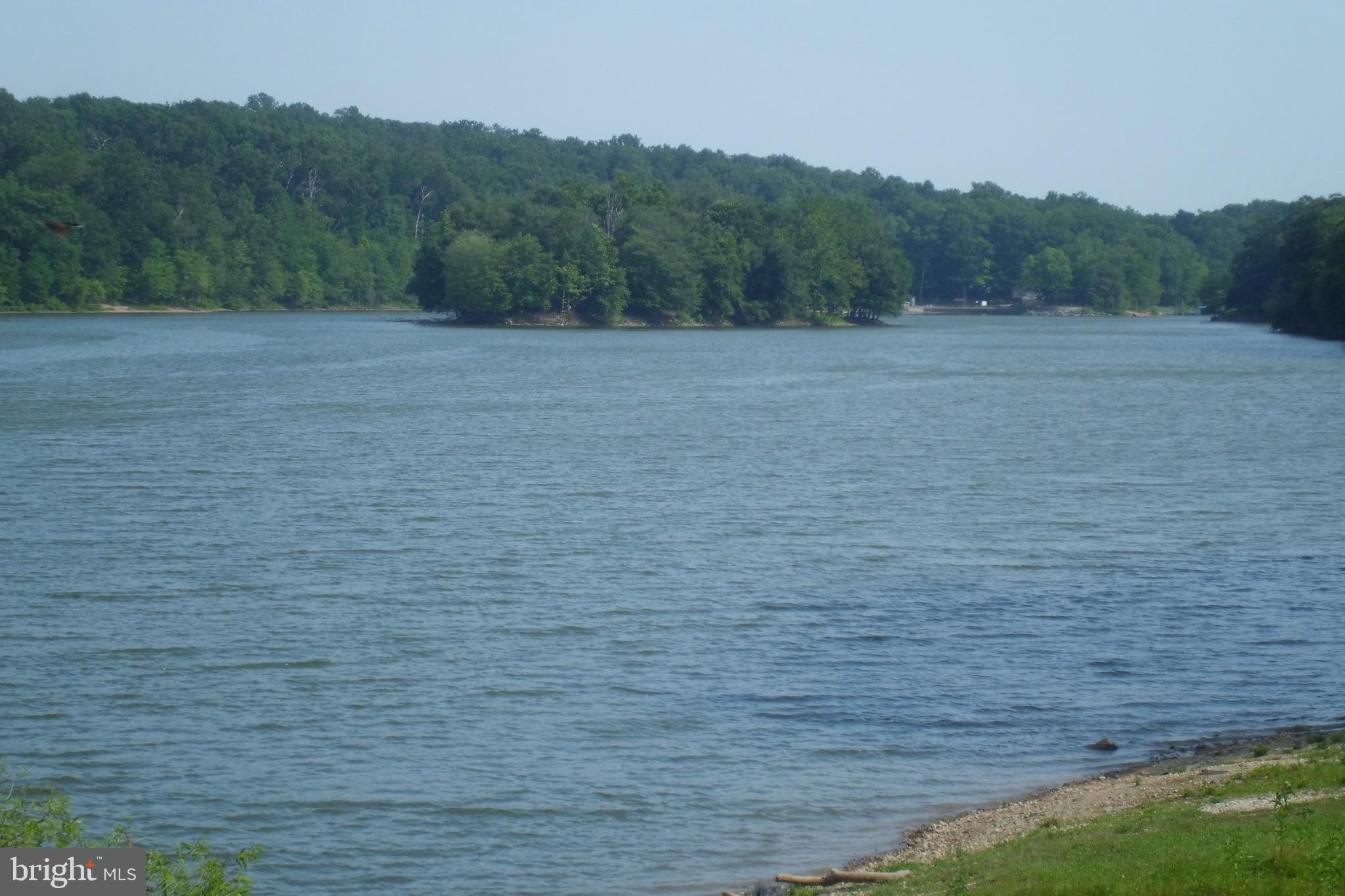 CONNECTICUT AVENUE ESTATES - Residential Lease