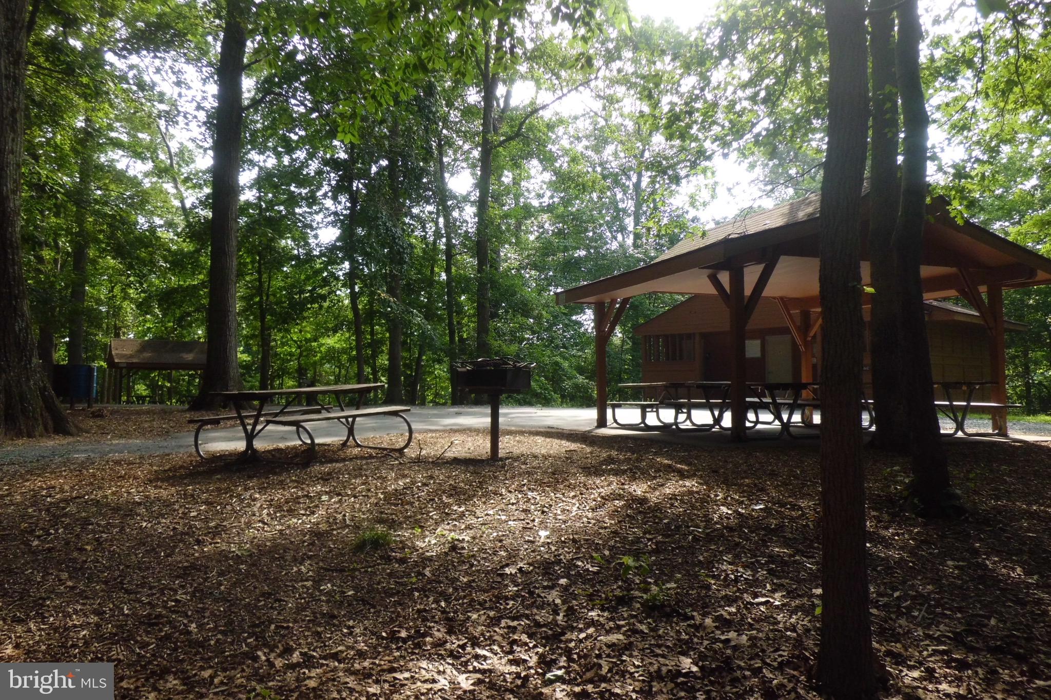 CONNECTICUT AVENUE ESTATES - Residential Lease