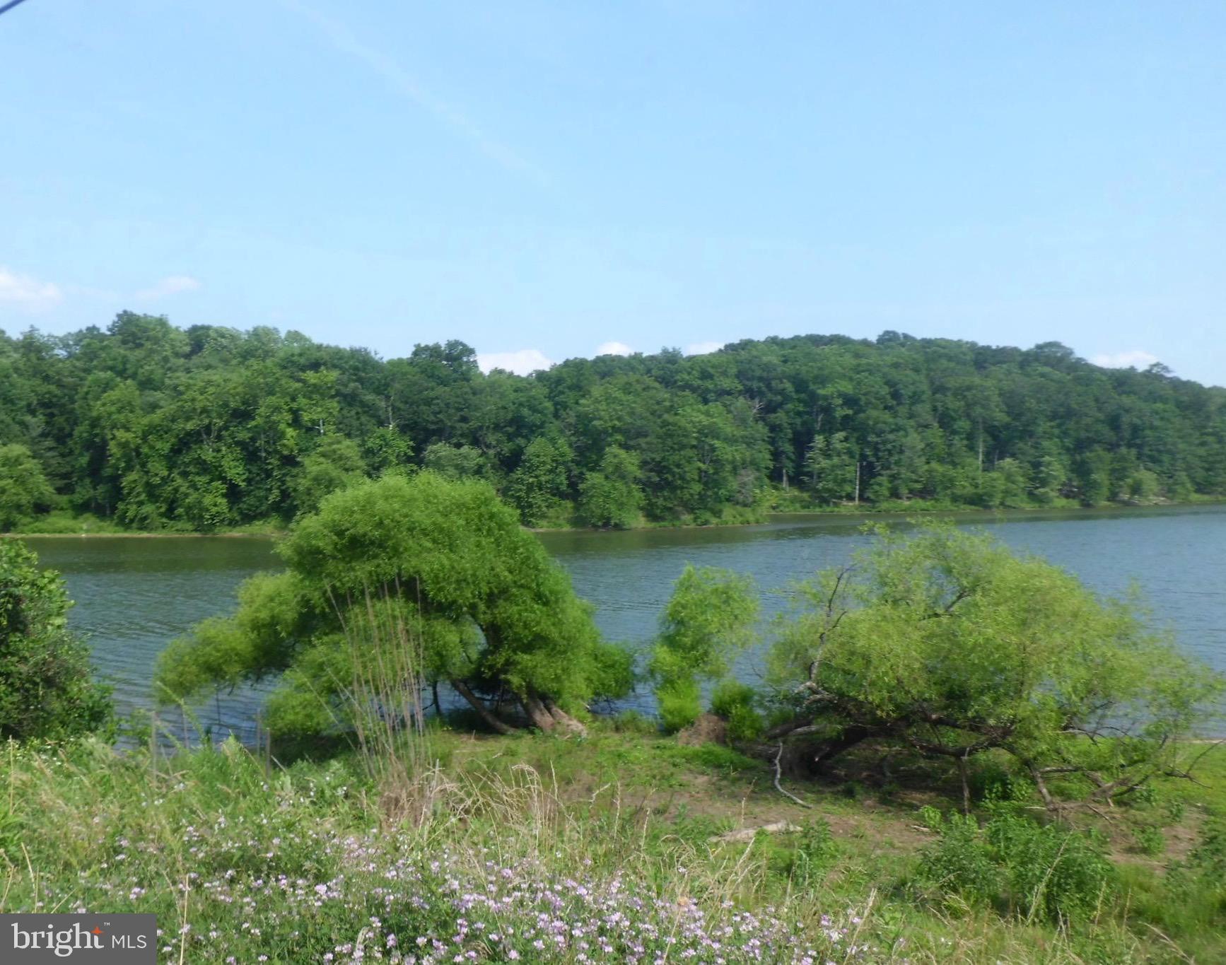 CONNECTICUT AVENUE ESTATES - Residential Lease