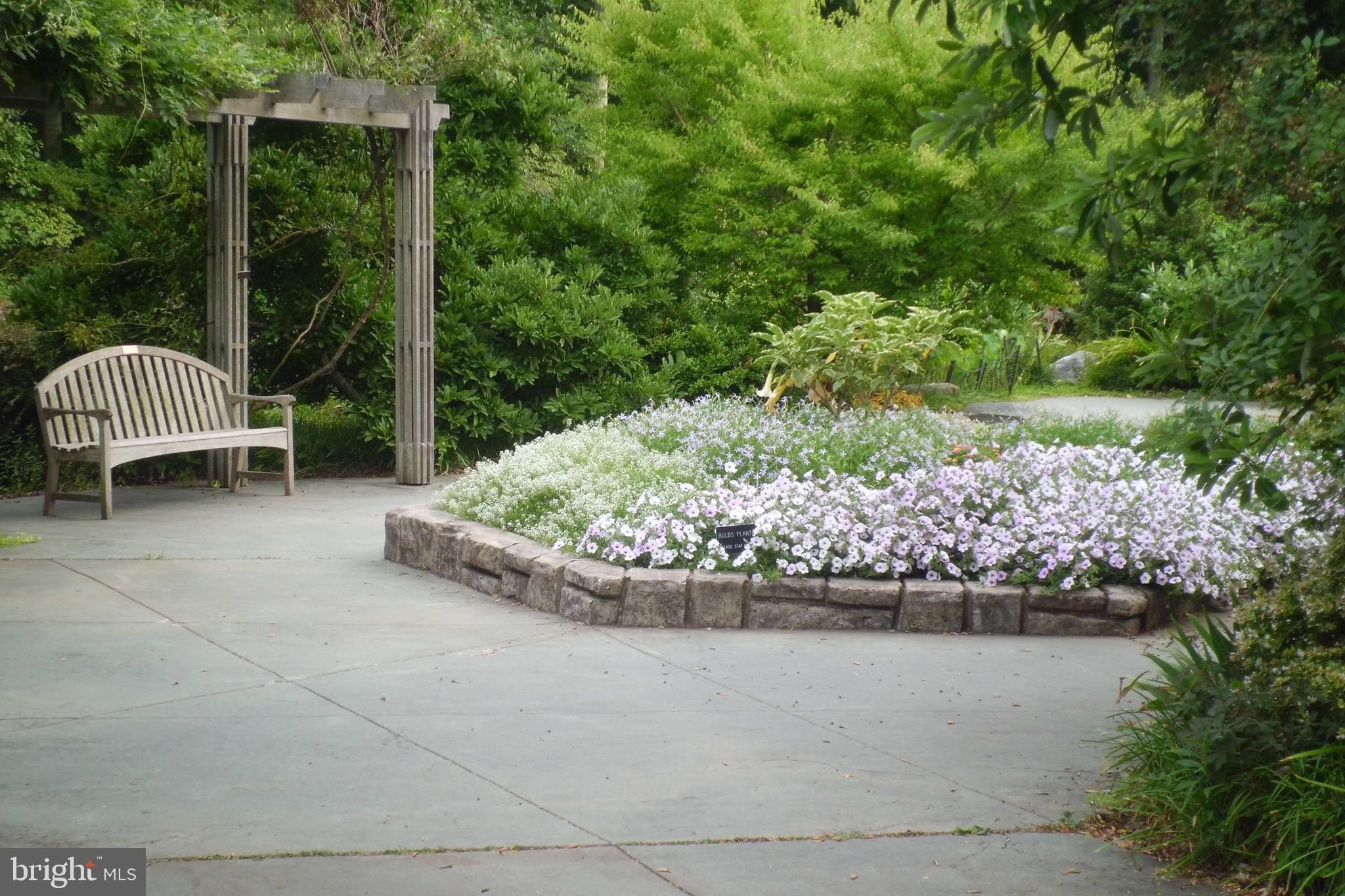 CONNECTICUT AVENUE ESTATES - Residential Lease