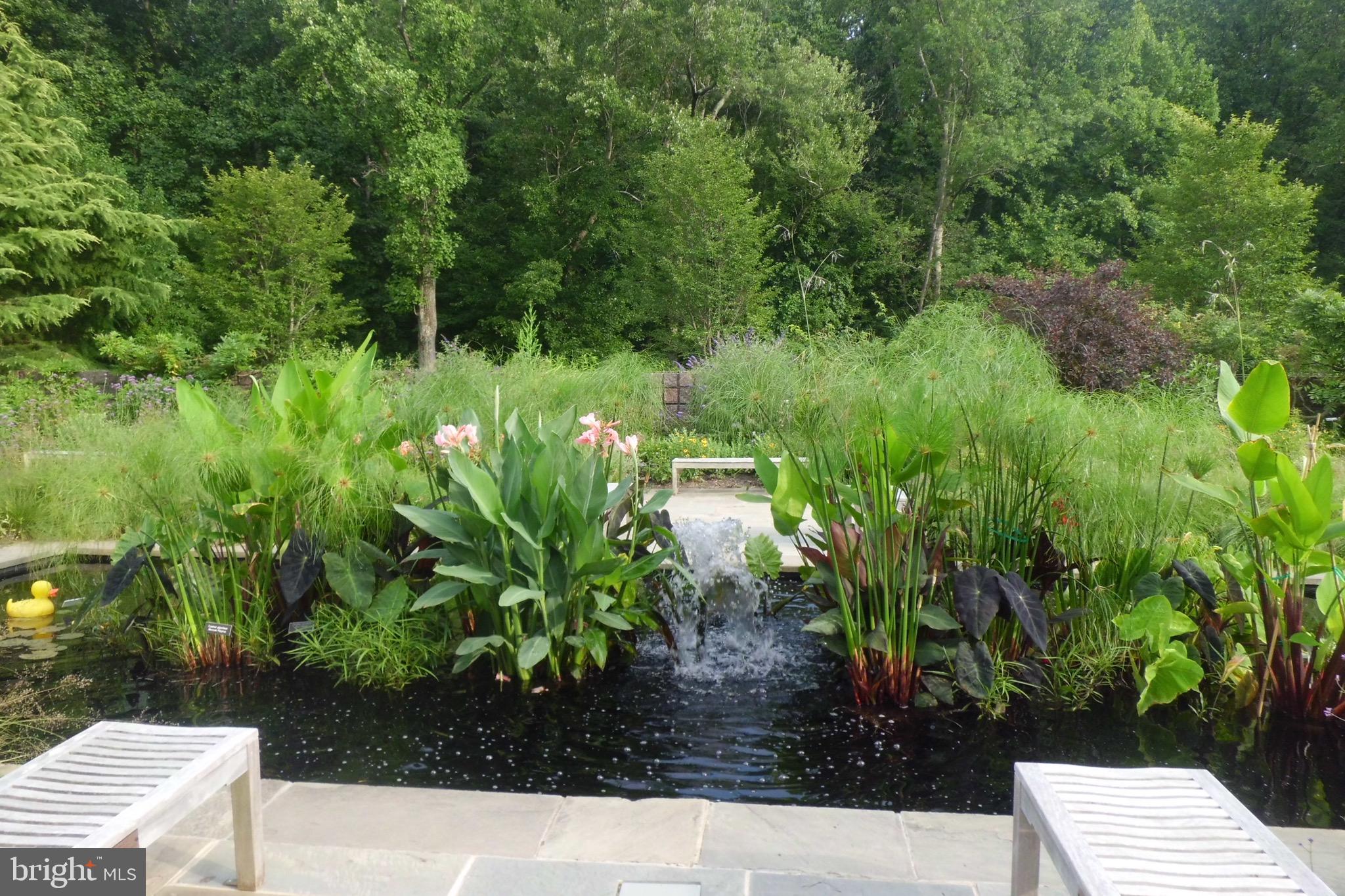 CONNECTICUT AVENUE ESTATES - Residential Lease