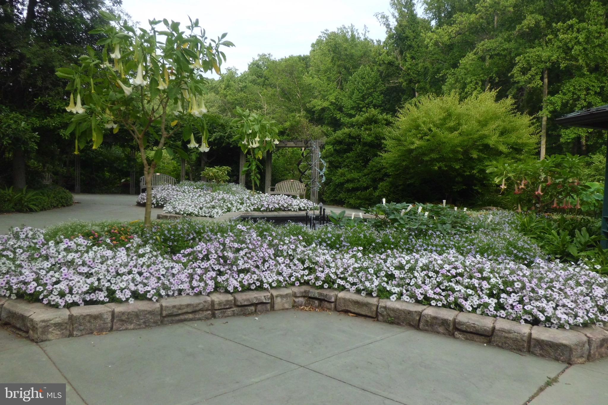 CONNECTICUT AVENUE ESTATES - Residential Lease