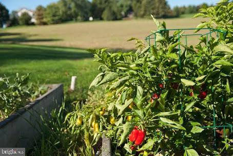 CENTRAL MANOR - Residential