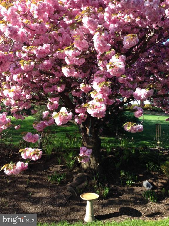 CENTRAL MANOR - Residential