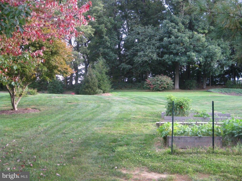 CENTRAL MANOR - Residential