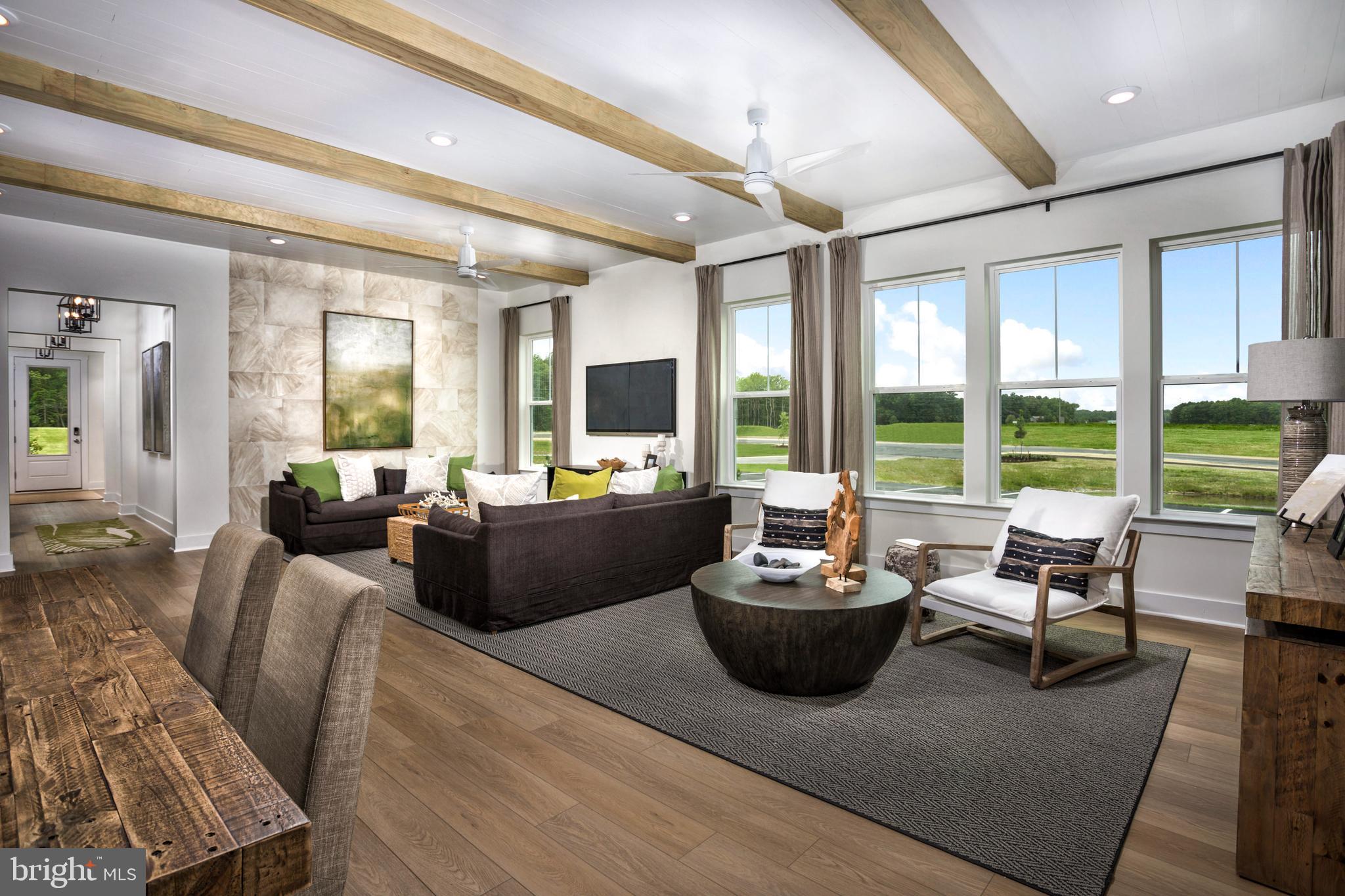 TBB SALT CEDAR DRIVE PALM