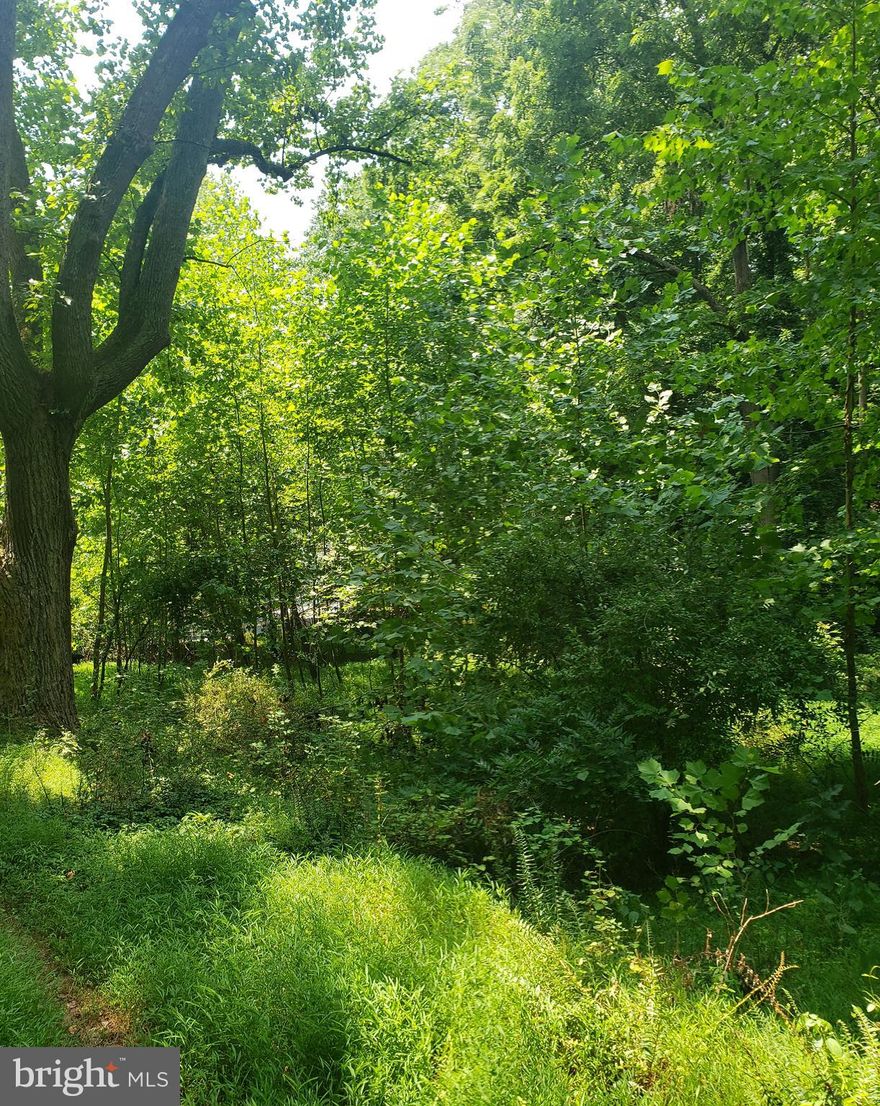 Beautiful wooded private setting ... Elevated home site with incredible views ... stream on property .... Well & Approved Perc site ... Incredible property and opportunity to make this site an awesome home!
